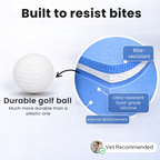 MaPetly© Slow Feeder Dog Bowl